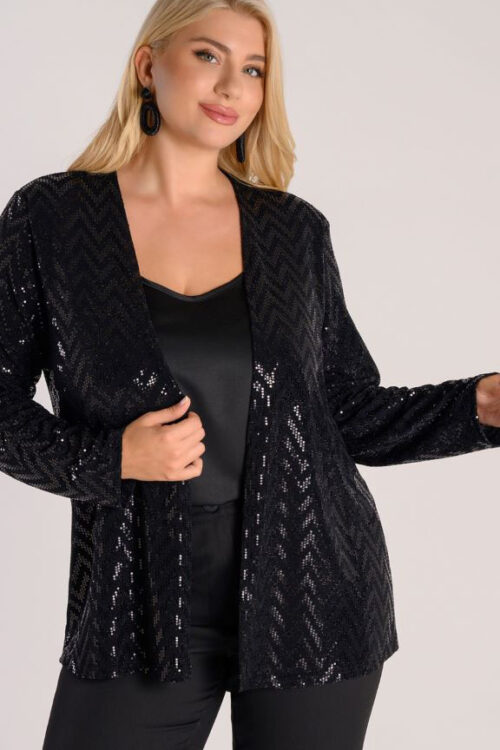 Σακάκι παγιέτα